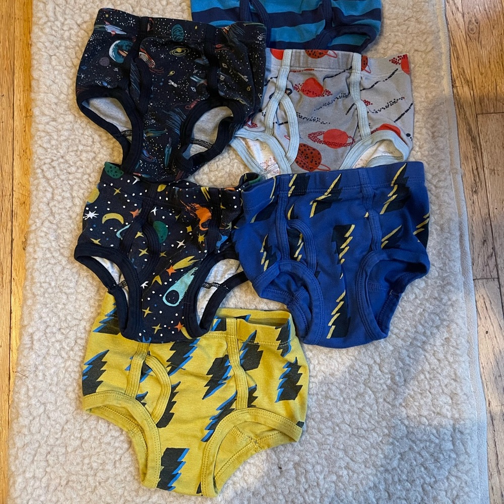 Hanna Andersson Toddler Underwear XS